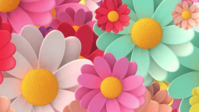 Flower:5t77iov_So8= Backgrounds