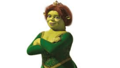 Girl:Schpo5x1if8= Shrek