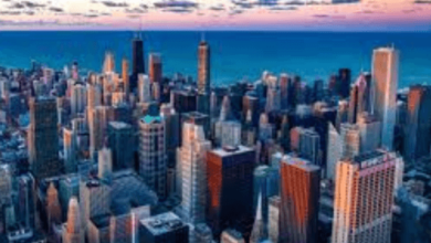 Simp City Forum