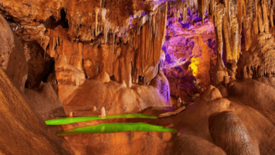 Skip the Line Entrance Ticket to the Baume Caves