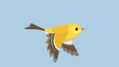 Animated:Nml6oj_Hlpa= Gifs