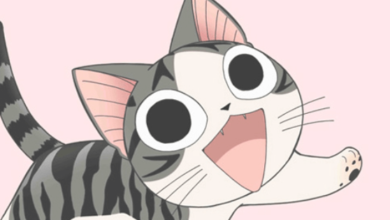 Anime:5vnlw021cuy= Cat