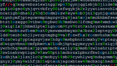 Base64,
