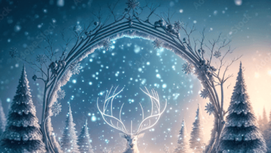 Beautiful:Jrsvfze8q5y= Christmas