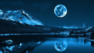 Beautiful:Pvozqnlupm8= Wallpaper