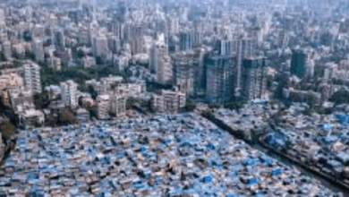 City:Ed-Siz2bqcu= India