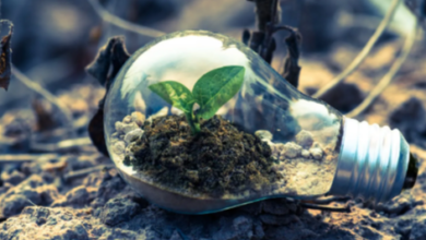 Qaas Technology and Its Impact on Environmental Sustainability