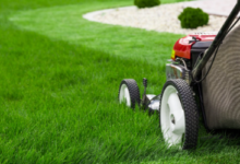 Essential Yard and Lawn Maintenance: Key Practices for a Stunning Outdoor Space