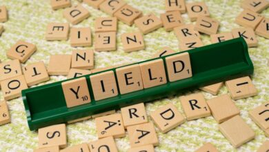 dividend yield calculation guide