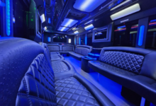 From Ordinary Nights to Unforgettable Moments: The Magic of a Brampton Party Bus