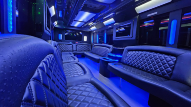 From Ordinary Nights to Unforgettable Moments: The Magic of a Brampton Party Bus