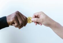 market opportunities identified numerically