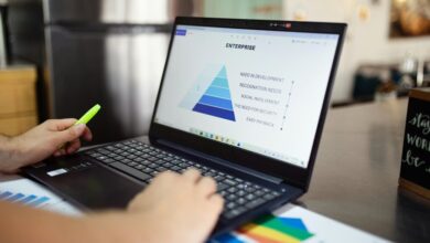 market research premium insights