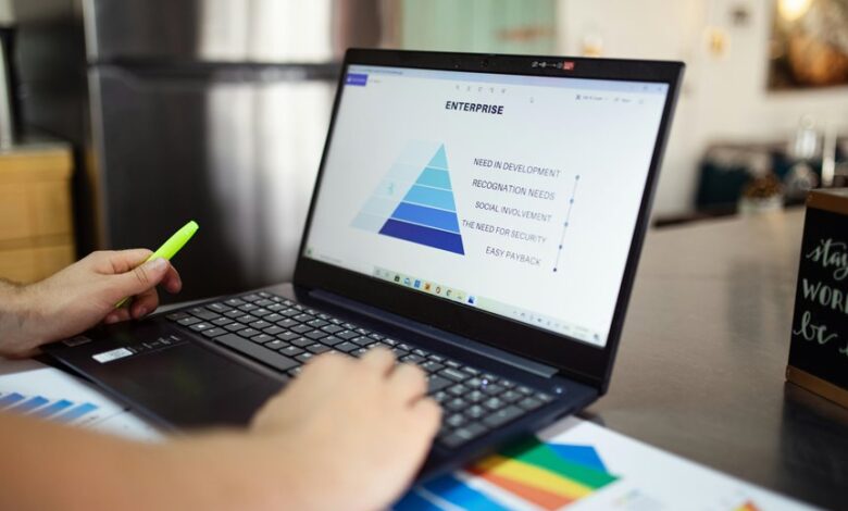 market research premium insights