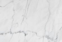 premium industry forecast analysis