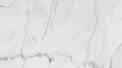 premium industry forecast analysis