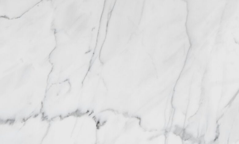 premium industry forecast analysis