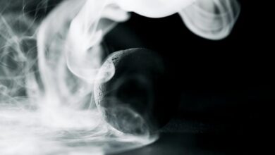 elevation sphere start maximizing opportunity impact