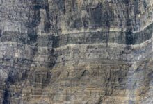 elevation surge unlocks potential