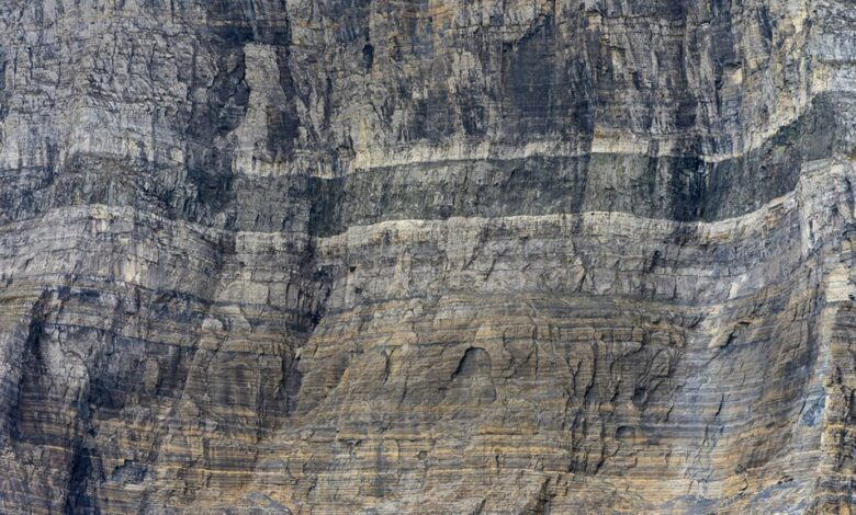 elevation surge unlocks potential