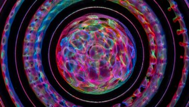 fusion wave start unlocking strategies