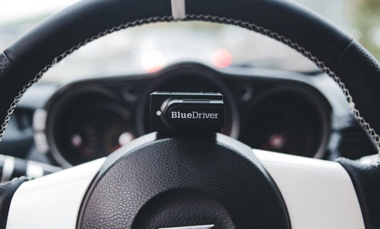 luminous crest starts driving innovation