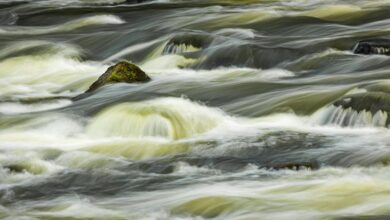 momentum flows bold ventures ahead