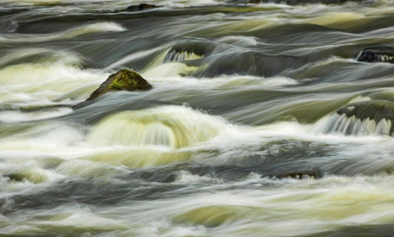 momentum flows bold ventures ahead