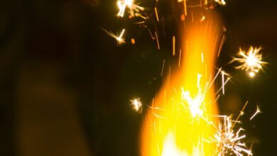 momentum spark start 8882042594 ventures