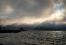 nova horizon start unlocks potential