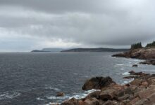 nova surge market excellence advance