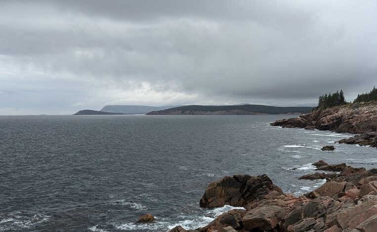 nova surge market excellence advance