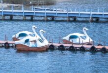 radiant flow starts dynamic opportunities