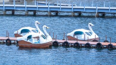 radiant flow starts dynamic opportunities