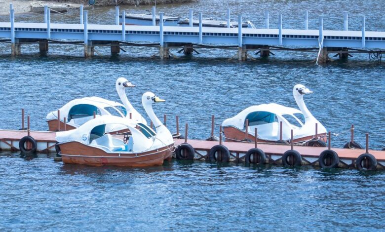 radiant flow starts dynamic opportunities