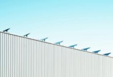 radiant nova ignites innovations