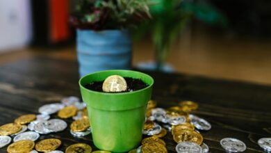 stellar axis accelerates market potential