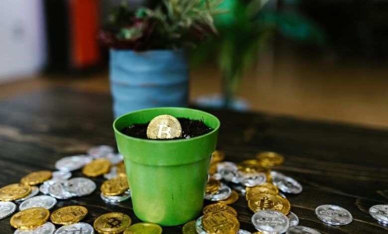 stellar axis accelerates market potential