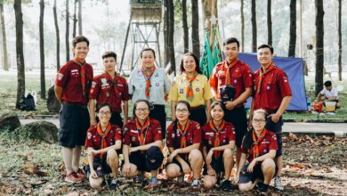 stellar path start bold