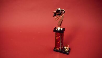 stellar wave start inspiring