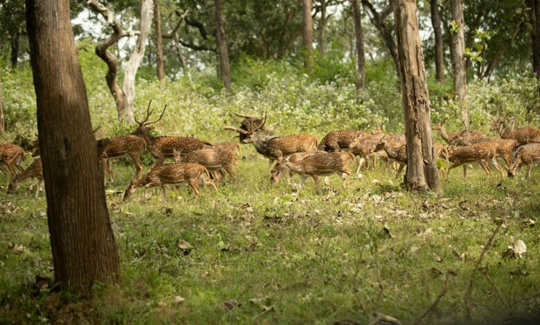 velocity axis starts 9012520378 leading next level change