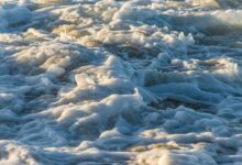 velocity crest start leading progressive change