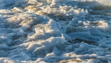 velocity crest start leading progressive change