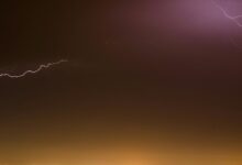 velocity surge drives market evolution