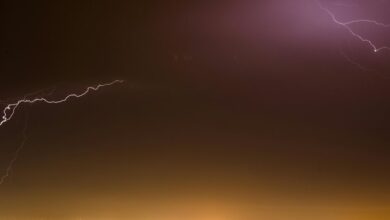 velocity surge drives market evolution