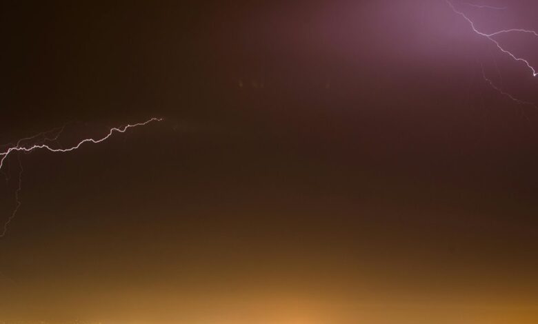 velocity surge drives market evolution