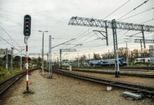 business profile insight hub