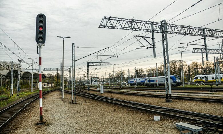 business profile insight hub