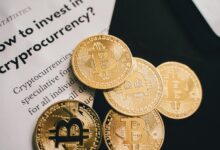 crypto personality discovery guide username fyona mens robthecoins