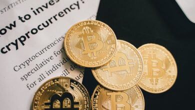crypto personality discovery guide username fyona mens robthecoins